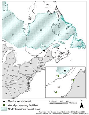 Carbon balance of forest management and wood production in the boreal forest of Quebec (Canada)